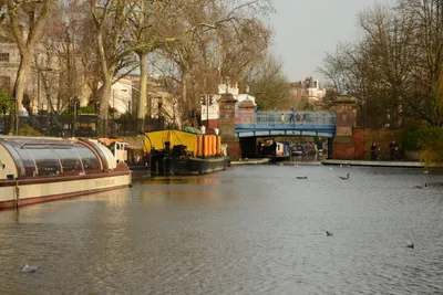 DSC_6082 (Large).JPG